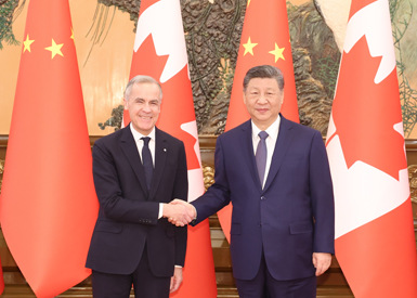 相关图片